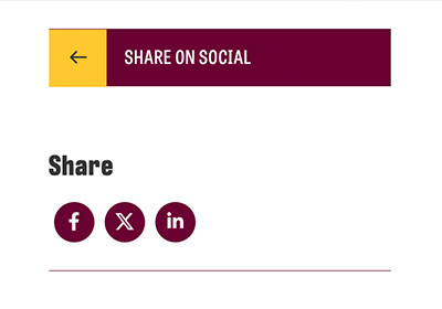 Share-on-social-400x280 A screenshot of the share on social widget in the left sidebar.