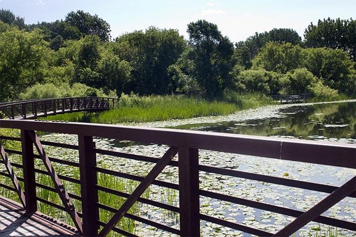 Bridge in a wooded park overlooking a scenic marsh.