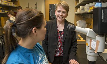 connecting feature image