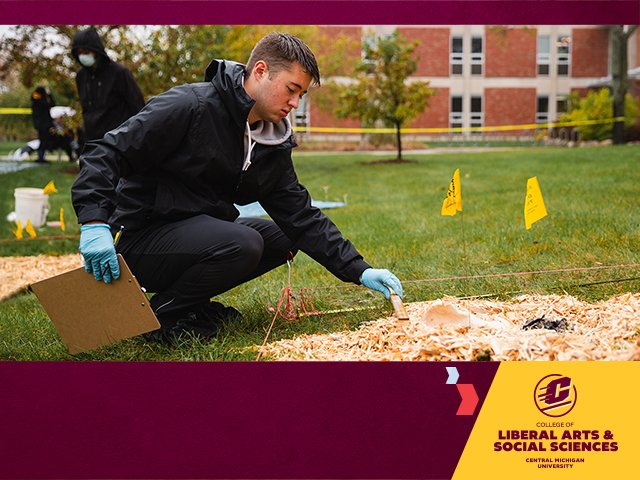 A mock crime scene with a brown-haired student wearing blue plastic safety gloves, leans to inspect a roped off area on the ground, the College of Liberal Arts and Social Sciences logo in the left bottom corner on a gold shape, two chevrons point to it.