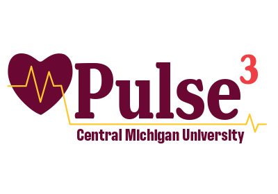 Pulse 3 Spirit Mark, the words