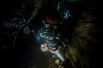 1_Klukkert inspects fossil in DomRepublic cave_credit Phillip Lehman-360x240