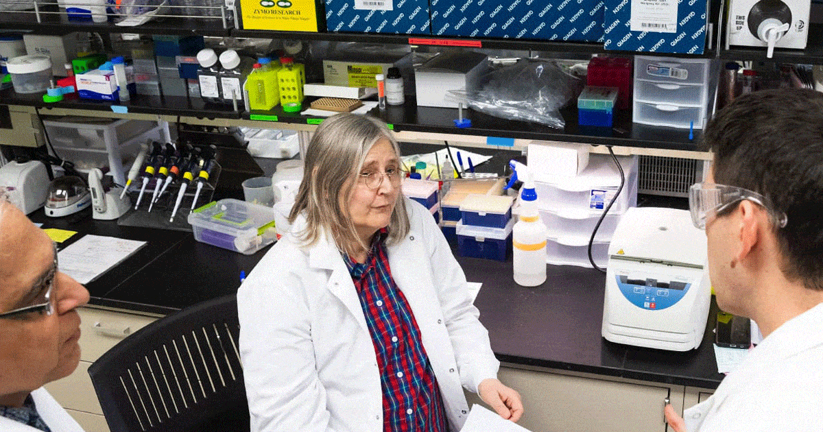 Neuroscience Ph D Doctorate Degree Central Michigan University