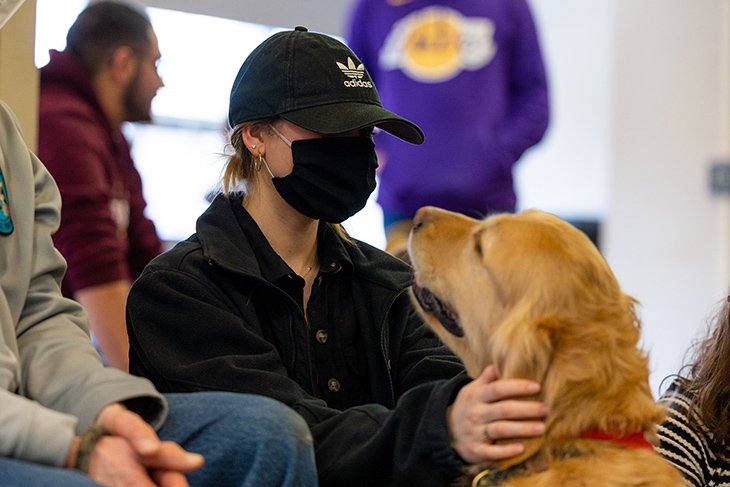 As a way to relieve stress and focus on mental health, CMU students had the opportunity to play with a group of therapy dogs. This image was taken on Friday, March 25th, in the University Center