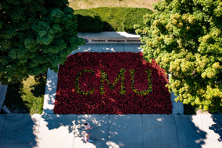 Maroon and gold flowers forming the familiar CMU letters are in full bloom on the north side of Warriner Mall.