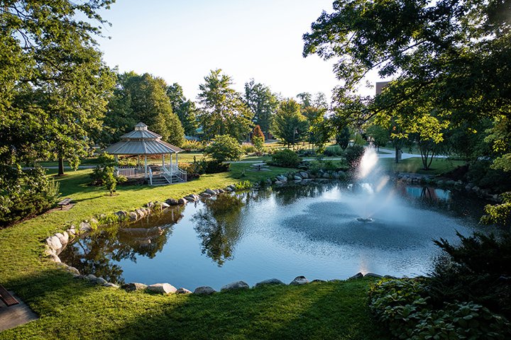 Reflections in the water at the Fabiano Botanical Garden.