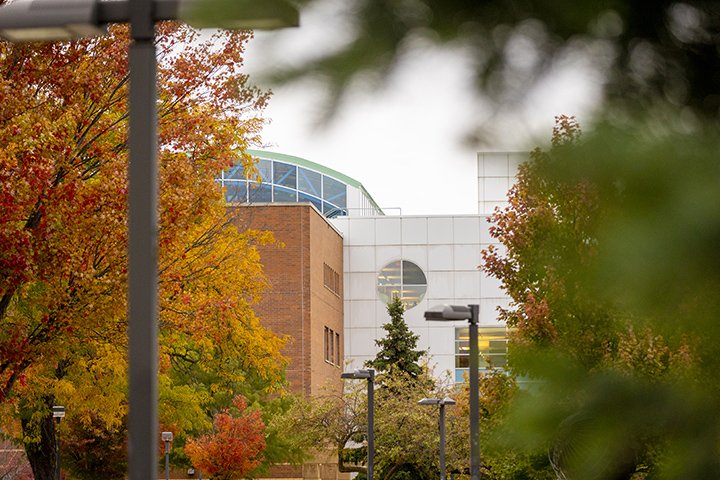 Park Library in the distance with trees shaded green, yellow, red and brown in the foreground.