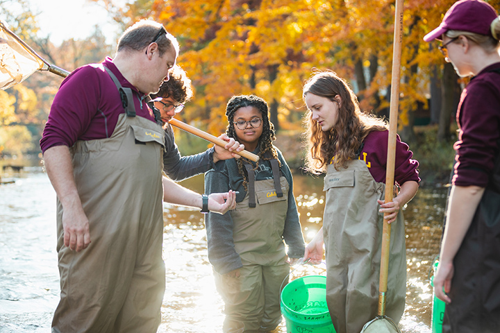 A professor and four students wearing waders looking at invertebrates while standing in a river.