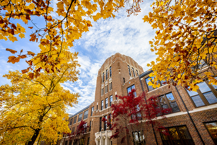 Trees with maroon and yellow leaves stand tall outside of Warriner Hall.