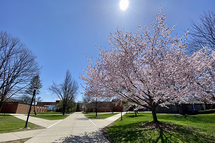 A mid-week warm-up saw trees begin to bloom across campus.