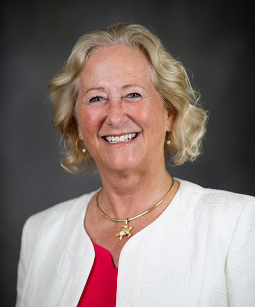 Meet CMU’s new provost Central Michigan University