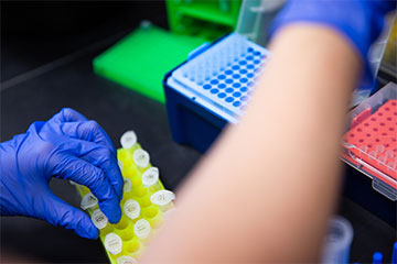 Hands wearing blue gloves fill vials in the Bioluminescent optogenetics lab.
