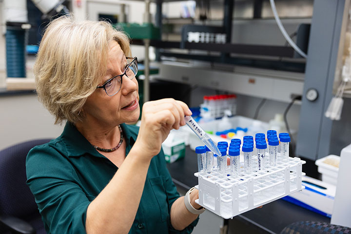 Monaliza Sirbescu, a woman with blonde hair, glasses and a teal blouse, shows samples of dissolved rock in test tubes.