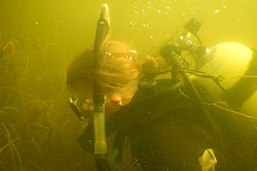 A long-haired man wearing SCUBA gear searches the mud of a river bottom for freshwater mussels.