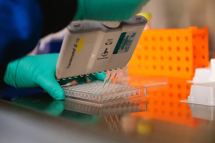 Test tubes are held by a person's teal colored rubber glove in a lab.