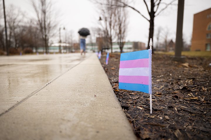 A miniature light blue, pink and white flag stands in the ground next to a sidewalk.