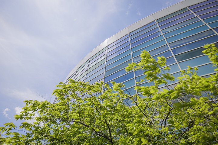 The view looking up at the Charles V. Park Library with a tree in the foreground.