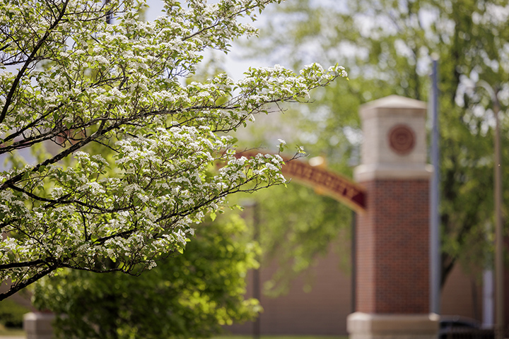 Spring flowers bloom on a green tree near a large brick archway on CMU's campus.