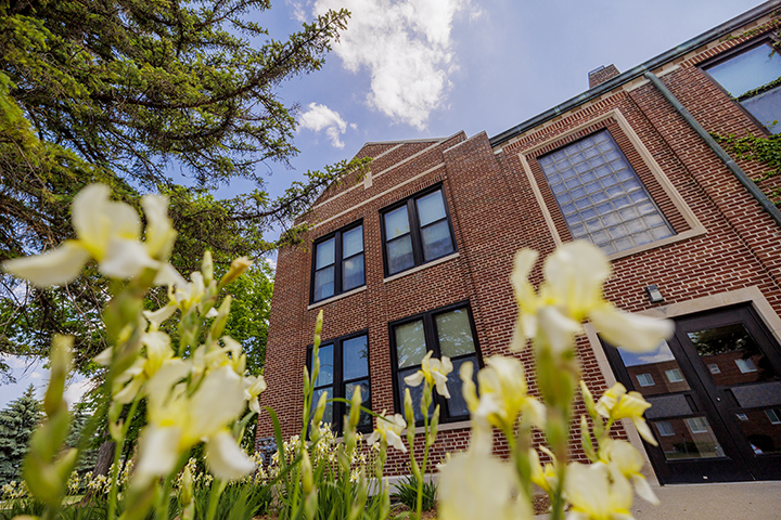 A closeup of white and yellow flowers with wide shot of Warriner Hall in the background.
