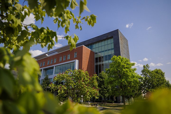 Peeking through the trees, the Education and Human Services Building stands tall in the background with a blue sky overhead.