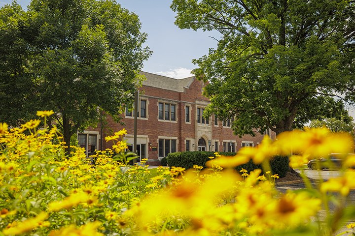 Powers Hall in the distance with two large trees and dozens of yellow flowers in the foreground.