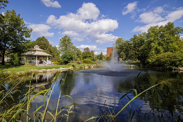 A beautiful blue sky and white clouds reflects on a small blue pond with a water fountain at the Fabiano Botanical Garden.