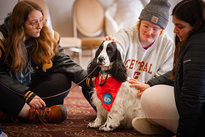Three students sit on the ground petting a dog wearing a red scarf.
