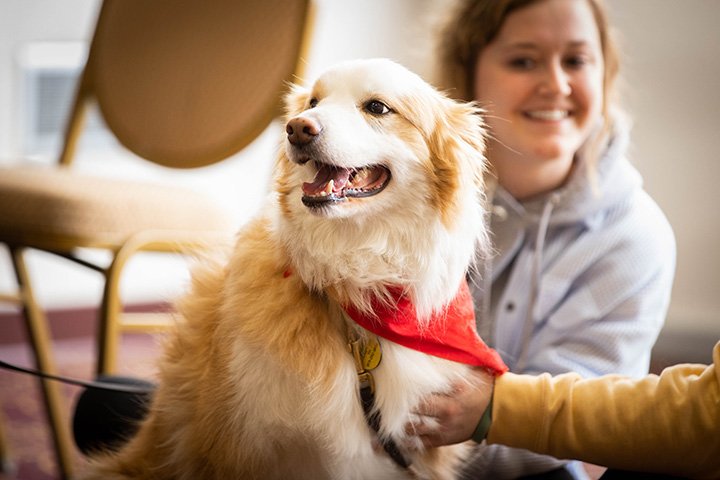 Students pet a dog wearing a red scarf.