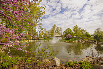 A wide-angle view of the Fabiano Botanical Garden as trees and the sky reflect off the pond.