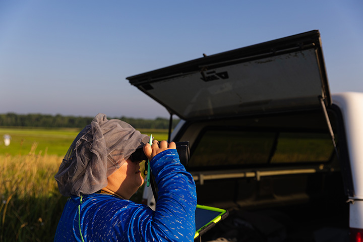 A woman looking through binoculars standing next to a pickup truck.