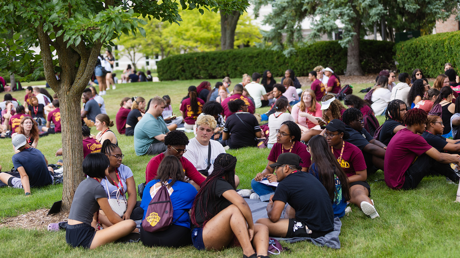A group of people sitting on the grass