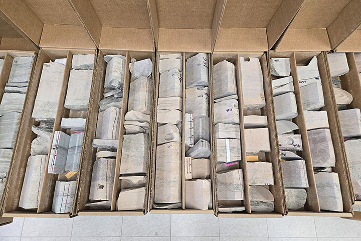A cardboard box containing rows of rock core samples of various sizes.