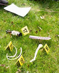 Fake bones sit next to yellow exhibit markers in the grass.
