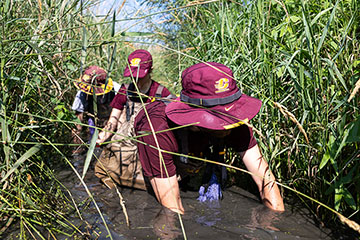 A man in a floppy hat digs around in the muck of a creek while two other people walk behind him.