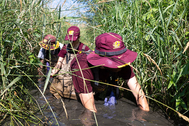 A man in a floppy hat digs around in the muck of a creek while two other people walk behind him.