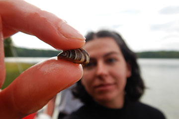 Two fingers pinch down on a small shell with zebra-style stripes with a young woman blurred in the background.
