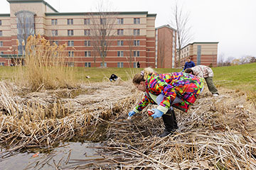 A woman in a multi-colored coat wearing blue gloves pulls garbage from a cattail-lined pond with a five-story building in the background.