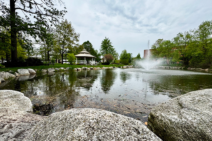 A pond with a fountain in it.