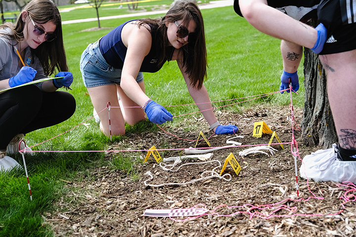 Students investigate a mock crime scene underneath a tree.