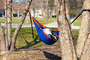 A college student reads a book while relaxing in a blue hammock.