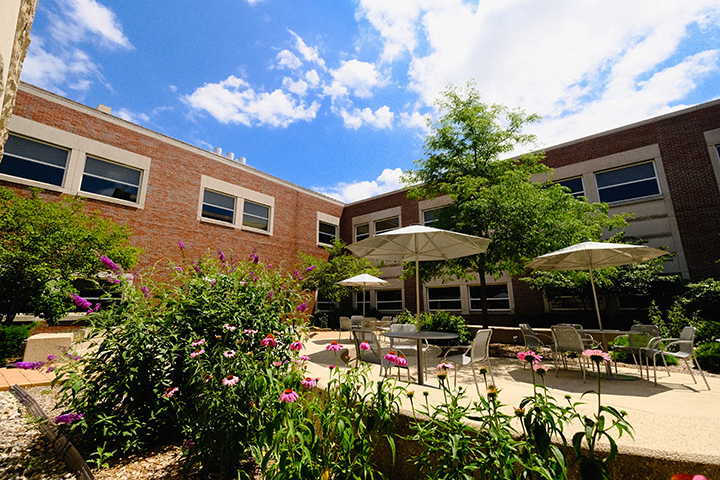 Flowers and bushes surrounding a courtyard near the College of Health Professions