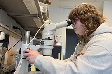 A young woman wearing a hoodie and glasses adjusts the focus on a microscope while looking into the eyepieces.