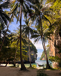 A boat sits in a cove with rocks on either side of the entrance and palm trees in front of it.