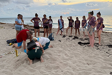 A group of young people stand in a semicircle on a beach watching two people dig a hole in the sand with their hands