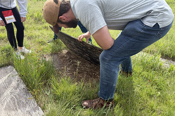 A man in a gray T shirt and denim pants lifts a piece of particle board from the grass