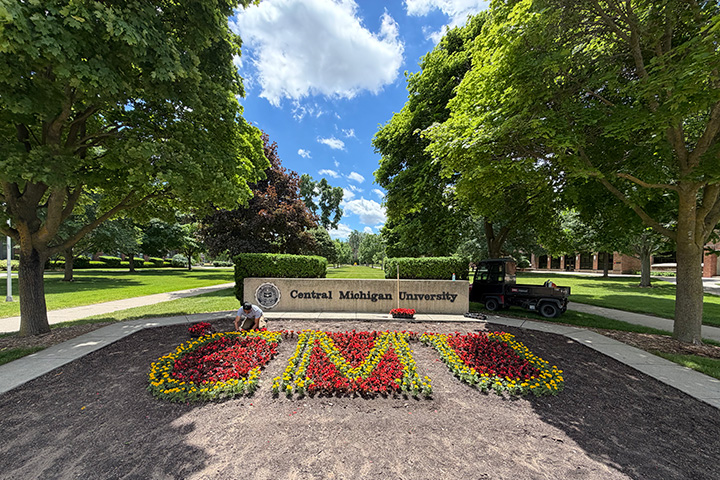 A landscape worker plants flowers spelling the letters CMU in front of a Central Michigan University sign