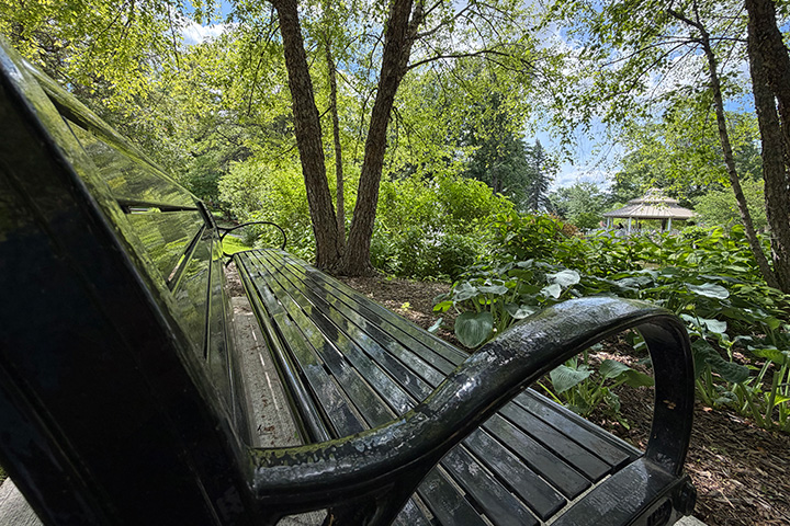 A black metal bunch sits in front of a wooded area and a gazebo