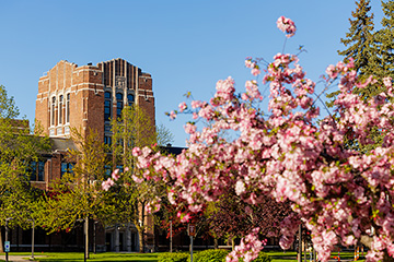 CMU's Warriner Hall in the spring with a cherry blossom tree blurred in the foreground