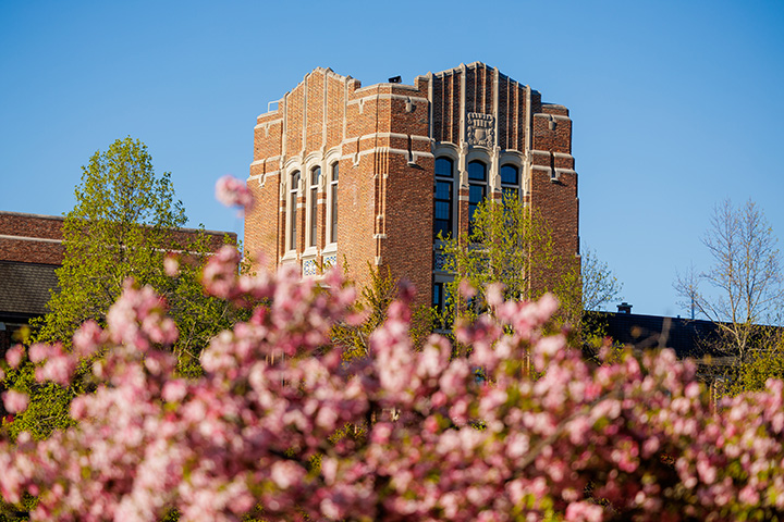 The top of Warriner Hall and blue skies in the background with pink, blooming flowers in the foreground
