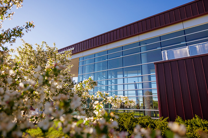 A low angle shot of the Kulhavi Event Center with white flowers on trees in the foreground